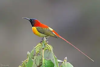 Description de cette image, également commentée ci-après
