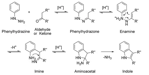 Mécanisme de la synthèse de Fischer