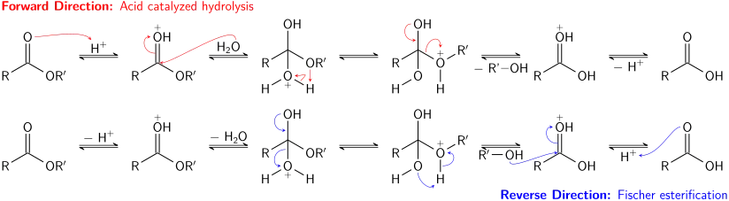 Hydrolyse acide d'un ester et estérification Fischer, deux réactions inverses correspondant à un équilibre chimique.