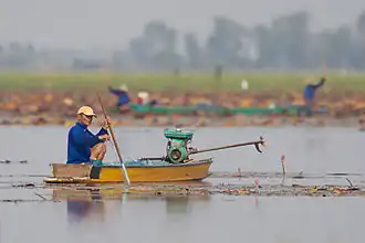 Image illustrative de l’article Bueng Boraphet