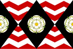Drapeau de Yorkshire du Sud