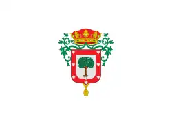 Drapeau de Almazán