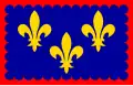 Drapeau du Berry.