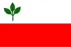 Drapeau de Bučina