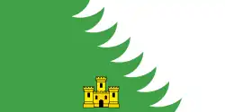 Drapeau de Khoïniki