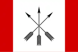 Drapeau de Tchyhyryne