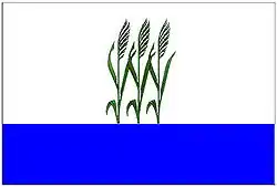 Drapeau de Kamychine