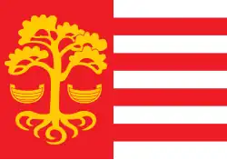Drapeau de Ville de Loksa