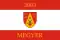 Drapeau de Megyer