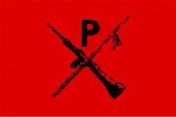 Image illustrative de l’article Montoneros