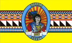 Drapeau de Comté d'Osceola(Osceola County)