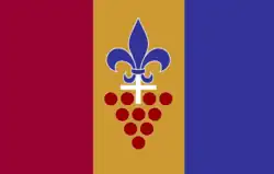 Drapeau de Stellenbosch