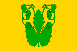 Drapeau de Velká Chmelištná