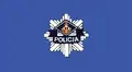 Drapeau de la police polonaise