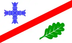 Drapeau de Bilsen
