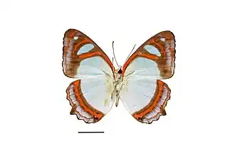 Description de cette image, également commentée ci-après