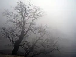 Brouillard orographique (Grèce).