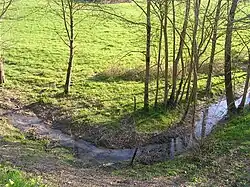 Photo de l’Antenne près de sa source à Fontaine-Chalendray. La rivière mesure moins d’un mètre de large.