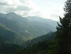 On devine plus bas à droite dans la forêt les derniers kilomètres de la route par le versant sud-est.