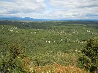 Image illustrative de l’article Forêt de Banne