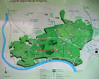 Image illustrative de l’article Forêt de Rougeau