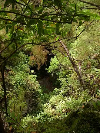 Description de cette image, également commentée ci-après