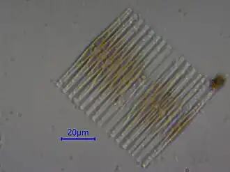 Description de cette image, également commentée ci-après
