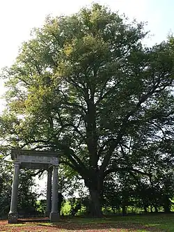 Le parc de l'ancien château devenu camping