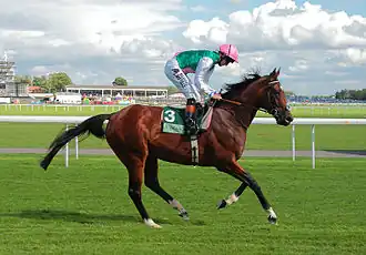 Frankel, en 2013.