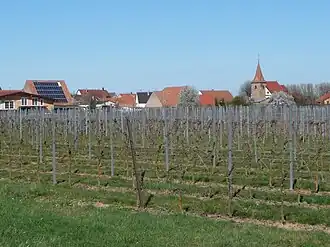 Freimersheim (Pfalz)