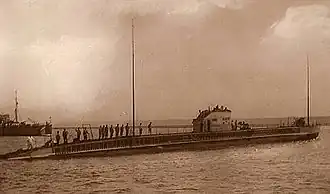 illustration de Marsouin (Q119)