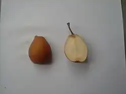 Vue du fruit en coupe.