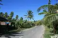Route à Funafuti.