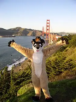 Le fursuiter français Timduru.