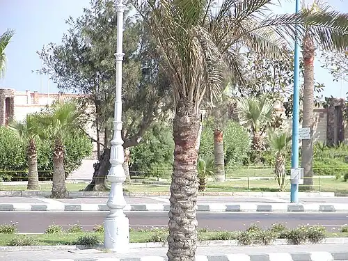 Jardin devant la Bibliotheca Alexandrina, où devrait être érigée la porte du phare d'Alexandrie sortie des eaux