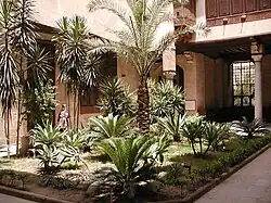 Parterre au milieu de la cour.