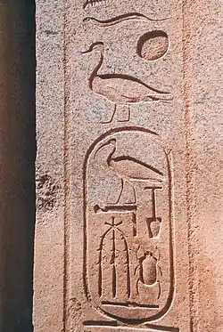 Nom de Sa-Rê de Thoutmôsis&nbsp;III à Karnak.