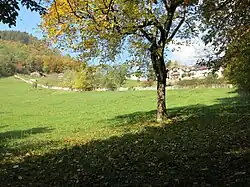 Mur antichar de Saconnex