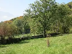 Au-dessus du mur antichars de Saconnex