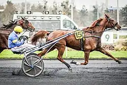 Victoire de Bélina Josselyn et Jean-Michel Bazire dans le Grand Prix de Belgique 2020.
