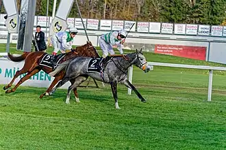 Image illustrative de l’article Alpinista