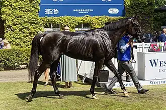 Image illustrative de l’article Rebel's Romance