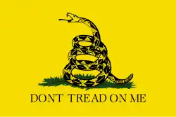 Gadsden flag et Join, or Die : deux drapeaux emblématiques de la révolution, représentés dans le jeu.