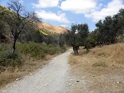 Ancienne route de Rosh Pinna vers Safed.