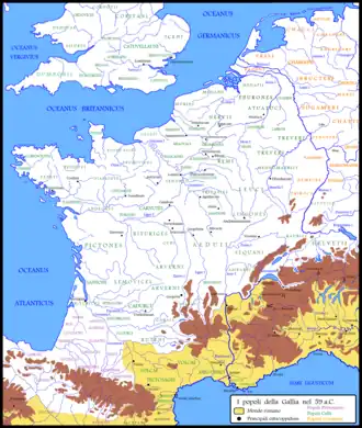 Image illustrative de l’article Rauraques