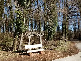 Image illustrative de l’article Forêt domaniale du Galm