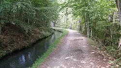 Le canal de Gap sur une de ses parties forestières