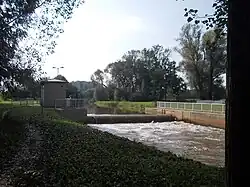 À Gaulis, localité de Böhlen