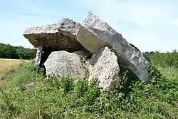 Image illustrative de l’article Pierre couverte de la Pagerie