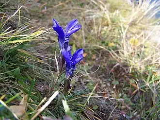 Description de cette image, également commentée ci-après